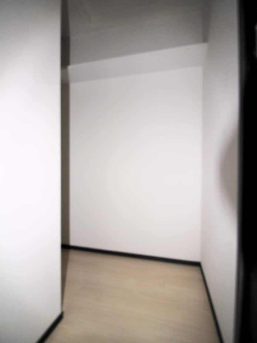 収納 ｼﾞｪﾉｳﾞｨｱ両国Ⅴｽｶｲｶﾞｰﾃﾞﾝ