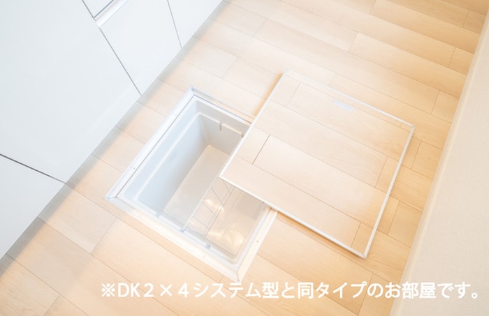 収納 ジ・アピオン