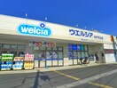 ウエルシア(ドラッグストア)まで1100m ジ・アピオン