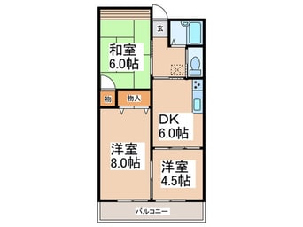 間取図 シャレ－楓