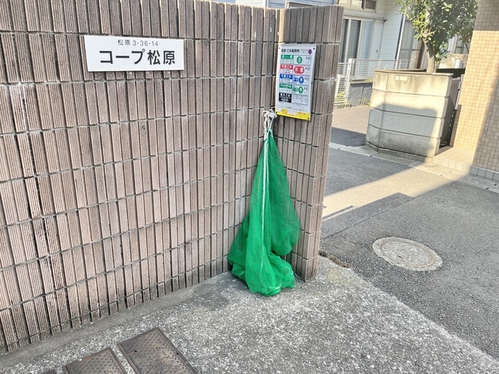 その他 コープ松原（３０３）