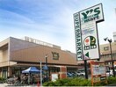 ワイズマート高田馬場店(スーパー)まで320m トーシンフェニックス目白