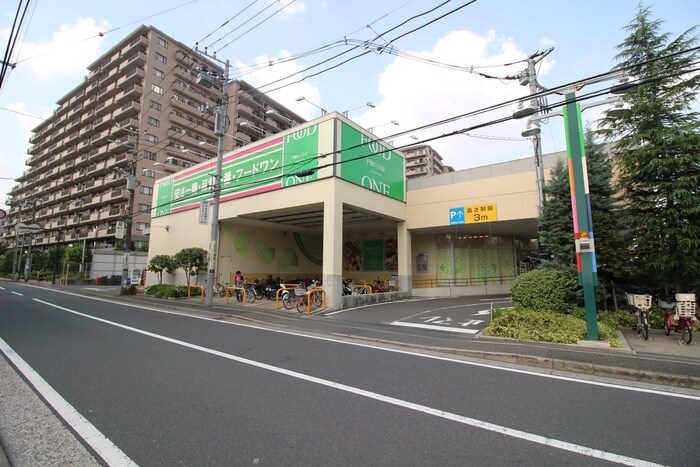 フードワン　綱島店(スーパー)まで388m フローラ大倉山