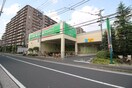 フードワン　綱島店(スーパー)まで388m フローラ大倉山