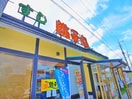 すし　銚子丸(その他飲食（ファミレスなど）)まで1120m フェリーチェⅡ