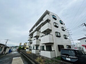 ジャルディーノモグサ
