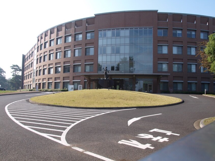 国立看護大学校(大学/短大/専門学校)まで850m ホワイトハイツ