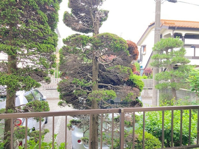 室内からの展望 ドリ－ムエイト