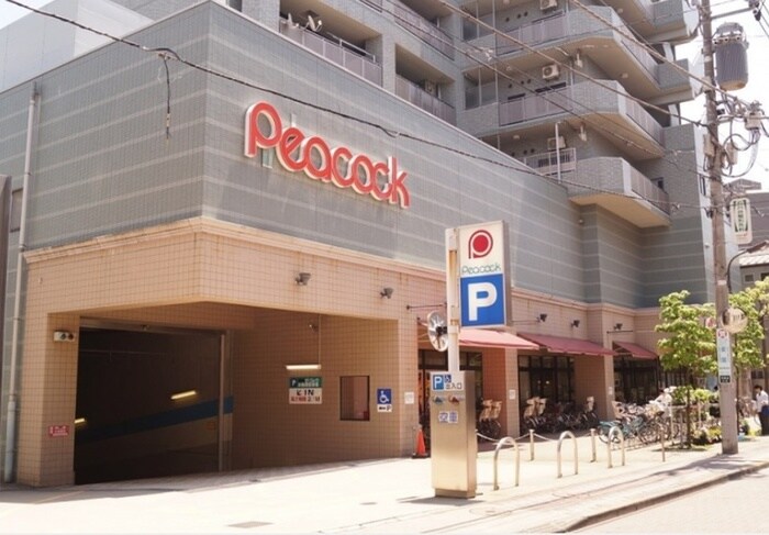 ピーコック(スーパー)まで50m レピュア雪谷レジデンス