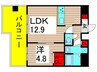 アルファーコート綾瀬3 1LDKの間取り