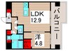 アルファーコート綾瀬3 1LDKの間取り