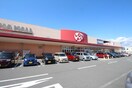 ロピア小田原高田店(スーパー)まで1400m サニーヒルズⅡ