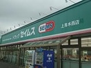 セイムス(ドラッグストア)まで316m グレース　シャトー