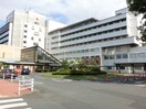武蔵野赤十字病院(病院)まで1000m プチ　メゾン
