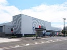 西友　東大和店(スーパー)まで363m ドミ－ル栄
