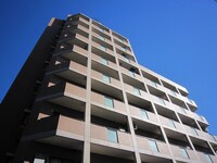 ﾗｲｵﾝｽﾞﾏﾝｼｮﾝ平和台第３(310)