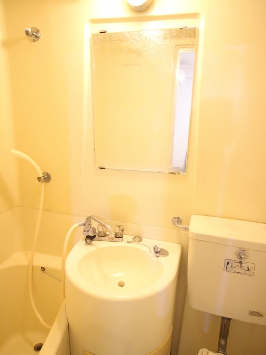 洗面 カクタス伊藤館