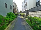 周辺環境 カトライア