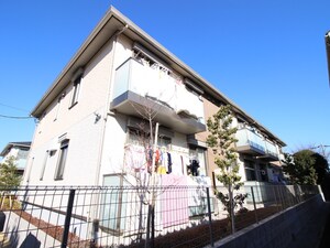 フェリーチェ花