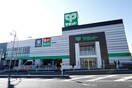 サミットストア踊場駅前支店(スーパー)まで450m コ－ポクレ－ル