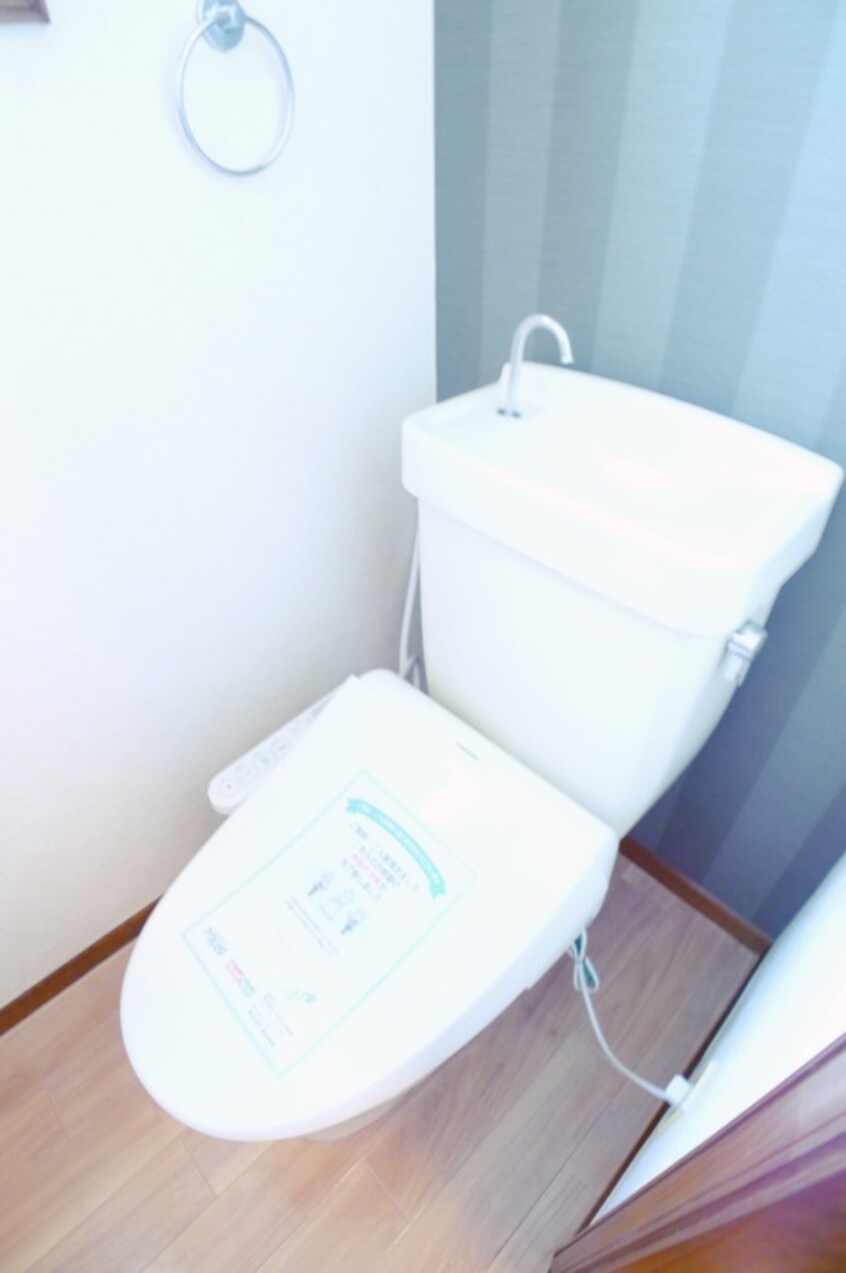 トイレ Ｓ・大川ハイツＡ