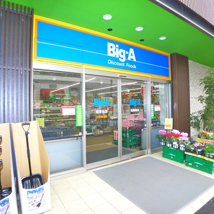 Big-A(スーパー)まで1305m 一戸建貸家