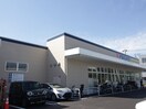 クリエイトSD緑白山店(ドラッグストア)まで230m エスポワ－ル
