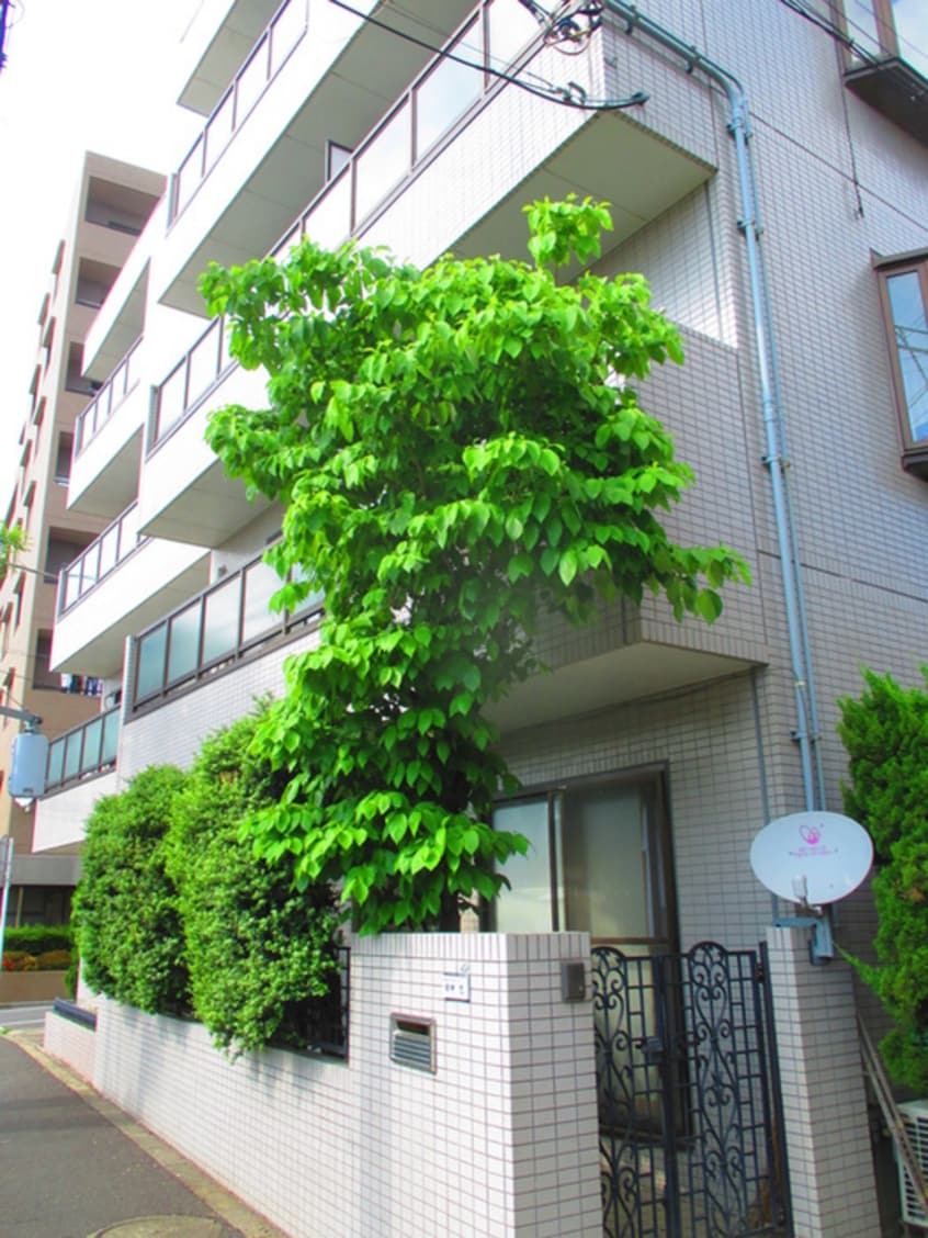 外観写真 ジュネス久が原
