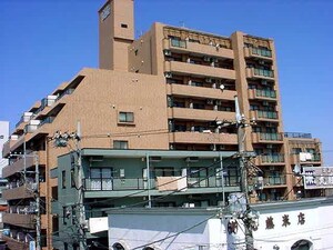 ﾗｲｵﾝｽﾞﾏﾝｼｮﾝ淵野辺(301)