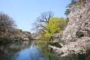 井の頭恩賜公園(公園)まで800m エスポワ－ル