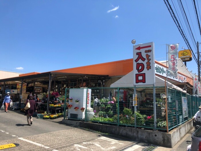 とんかち(電気量販店/ホームセンター)まで650m ハイツ志賀