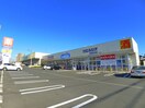 ウェルシア(ドラッグストア)まで1440m リブリ・アクティー船橋