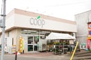 コープ(スーパー)まで586m エルドール
