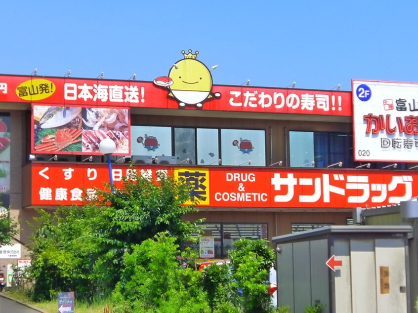 サンドラック(ドラッグストア)まで350m リブリ・千葉公園