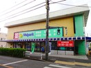 ウェルパーク　小金井緑町店(ドラッグストア)まで500m ア－バンヒルズＢ