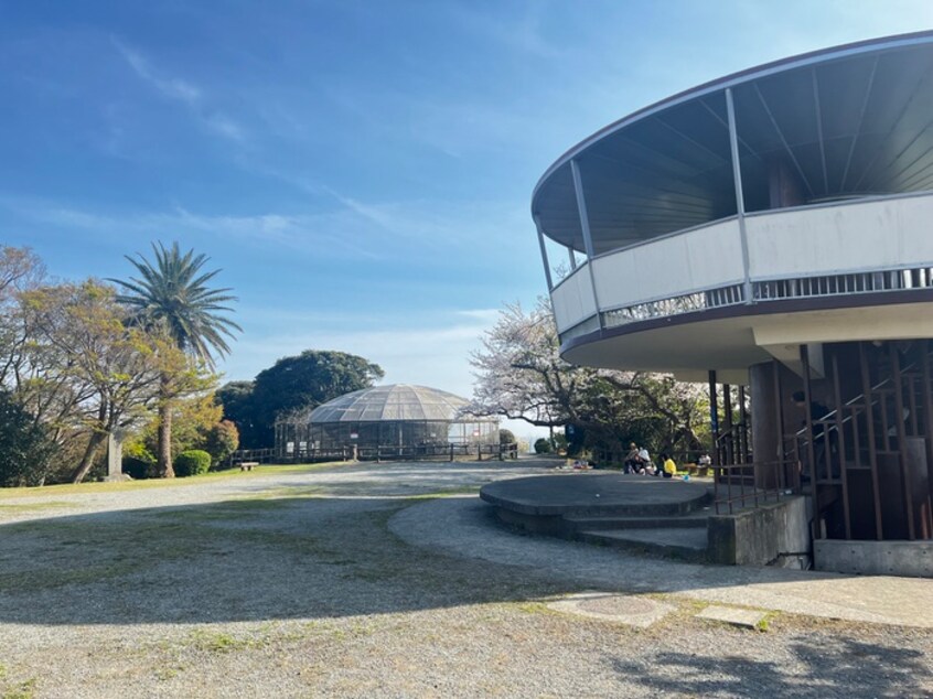 披露山公園(公園)まで1500m ﾄﾞﾐｰﾙ小坪