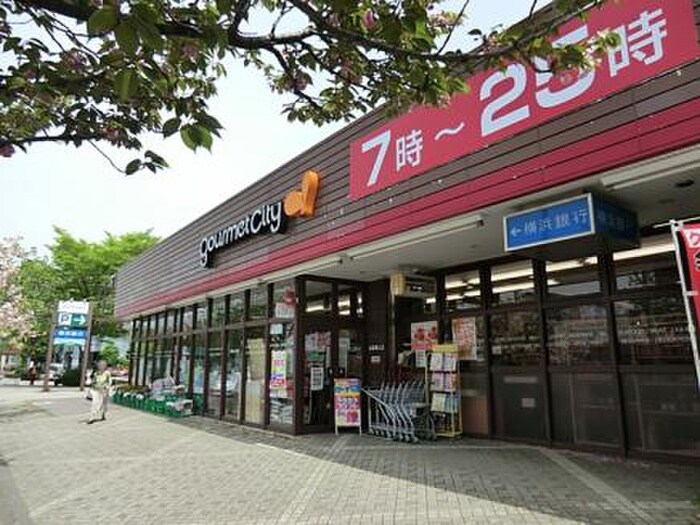グルメシティ鶴川緑山店(スーパー)まで1200m パークハイム斉藤