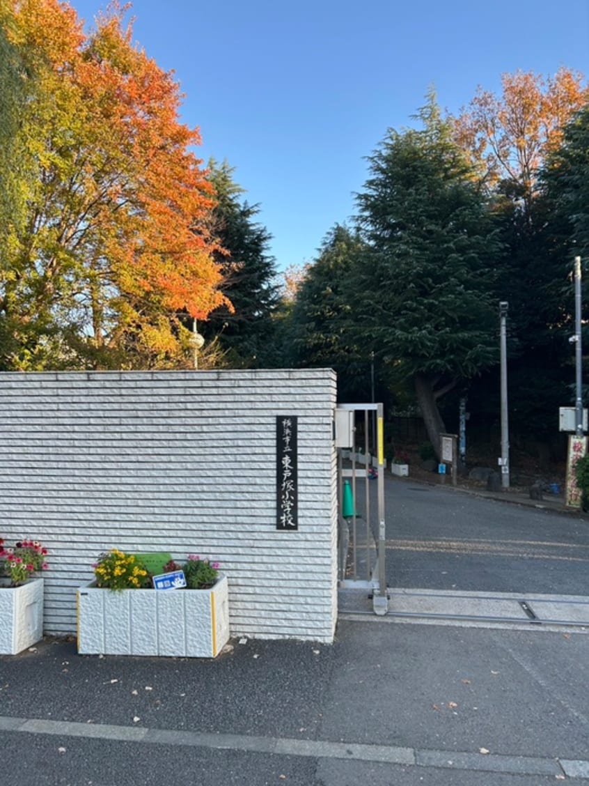 横浜市立東戸塚小学校(小学校)まで650m ヒルズ青山