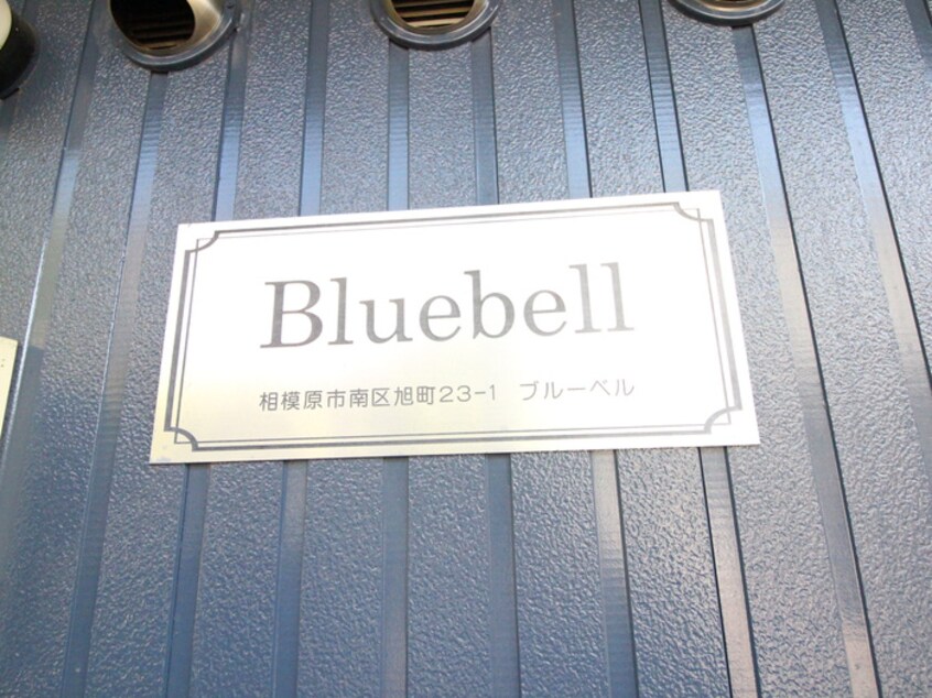 その他 ブルーベル