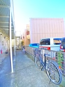 駐輪場 バ－ドピア秋津２号館