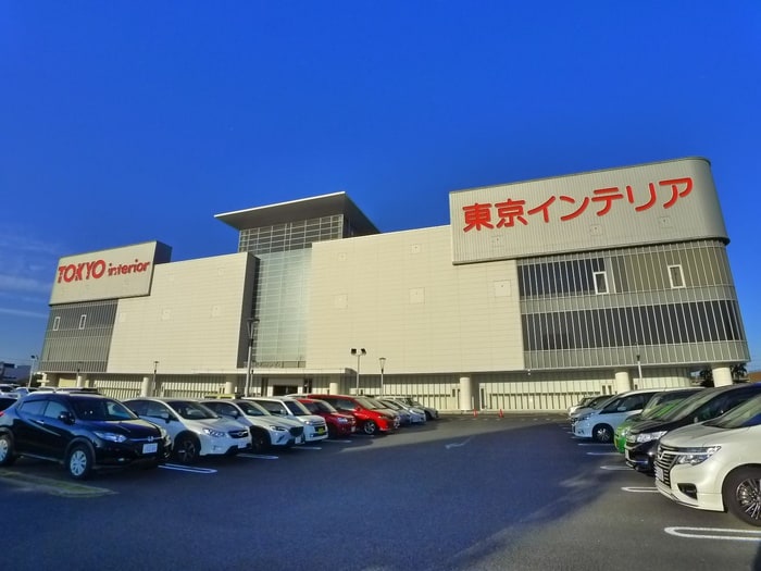 東京インテリア(電気量販店/ホームセンター)まで1700m バ－ドピア秋津２号館