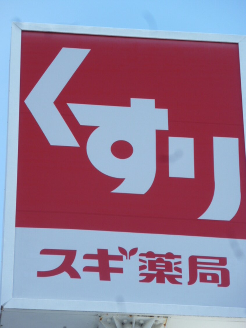 スギドラック毛呂山店(ドラッグストア)まで500m 仮）毛呂山町貸家