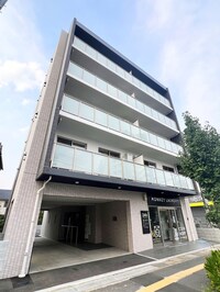 PLUMERIA与野