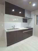 キッチン プルメリア与野