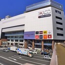 錦糸町PARCO　TOHOシネマズ(映画館)まで488m リヴィエール猿江公園