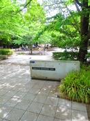 公園(公園)まで200m ｵｰﾊﾟｽﾎｰﾑｽﾞ八丁堀