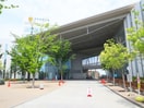 日本体育大学(大学/短大/専門学校)まで203m パ－クサイド駒沢Ｂ棟