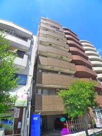 Ｄ．Ｈ．ｅｌｕａ