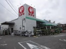 コメリ図師店(電気量販店/ホームセンター)まで794m ナリッシュ　ヒルＡ