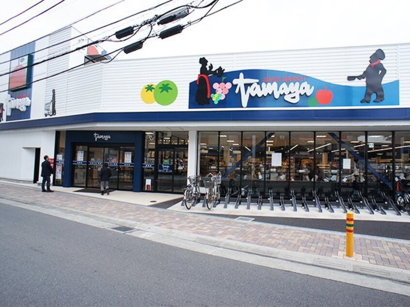 たまや茅ヶ崎駅南(スーパー)まで365m ブリーゼ茅ヶ崎